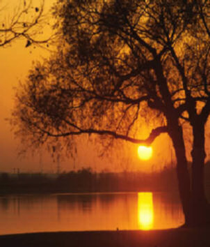 oak, river and sun. Image source: http://www.idealdestinations.com/community_pictures/263_1.jpg