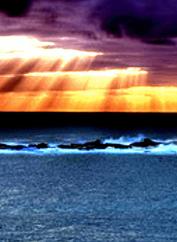 Wedding Cake Island off Coogee Beach - source: http://www.flickriver.com/photos/tags/coogee/interesting/